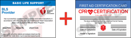 Sample American Heart Association AHA BLS CPR Card Certificaiton and First Aid Certification Card from CPR Certification San Antonio