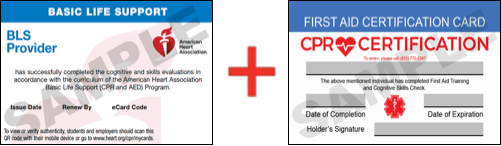 Sample American Heart Association AHA BLS CPR Card Certification and First Aid Certification Card from CPR Certification Cibolo