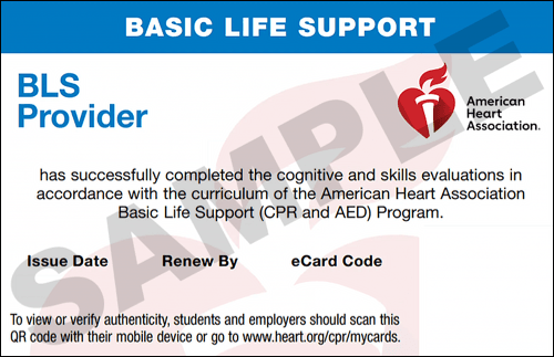 Sample American Heart Association AHA BLS CPR Card Certification from CPR Certification San Antonio