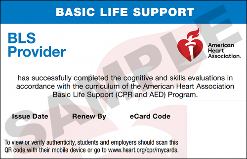 Sample American Heart Association AHA BLS CPR Card Certification from CPR Certification Alamo Heights