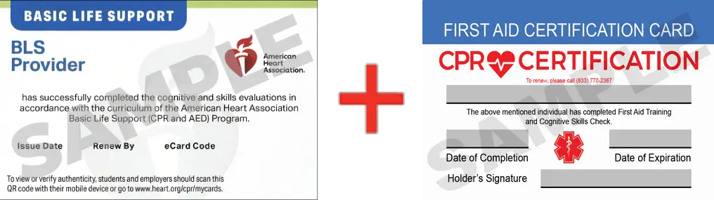Sample American Heart Association AHA BLS CPR Card Certification and First Aid Certification Card from CPR Certification San Antonio